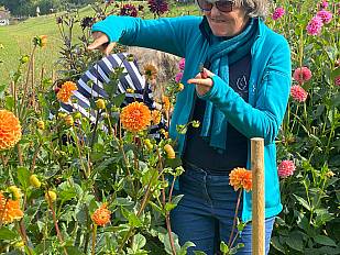 Besuch im Blumenfeld